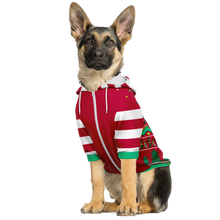 Load image into Gallery viewer, Large Dog Ugly Christmas Sweater