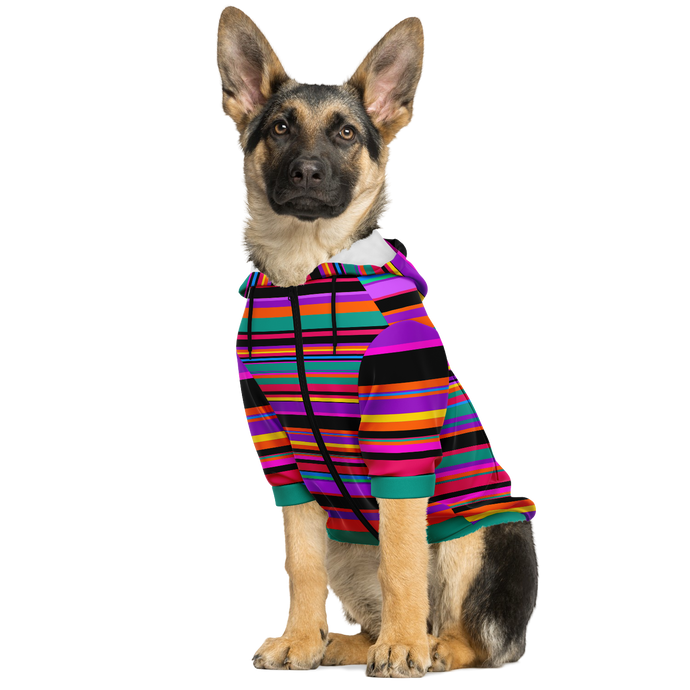 Rainbow Dog Hoodie