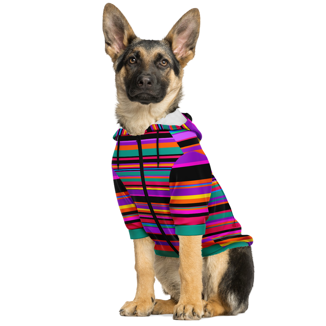 Rainbow Dog Hoodie
